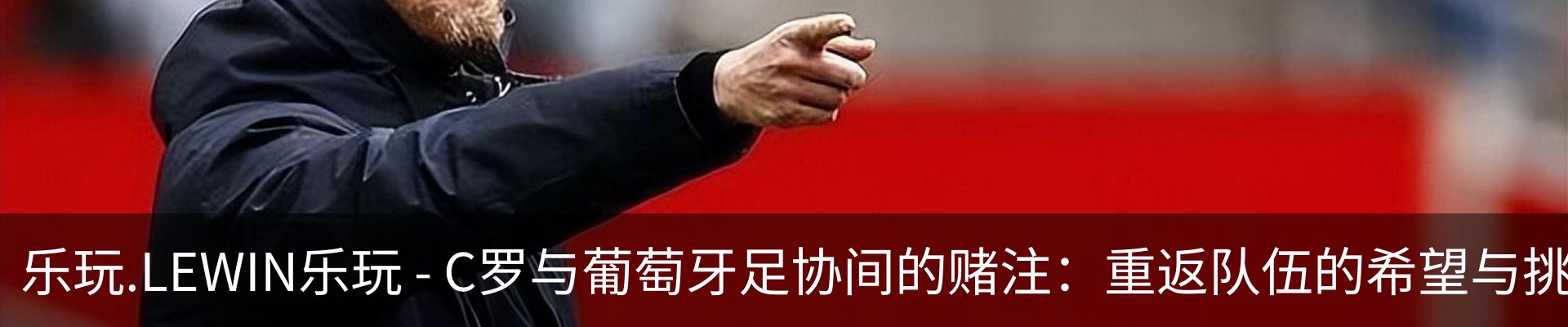 新闻动态